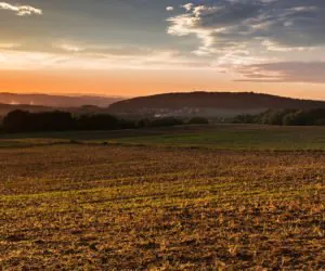 Rada Ministrów: przede wszystkim dzierżawy