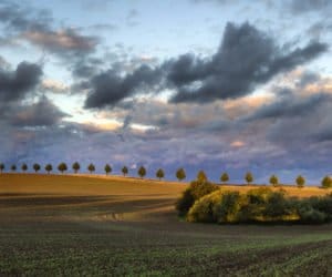 Zakup ziemi w&nbsp;Polsce przez cudzoziemców