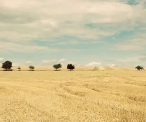 Lubimy inwestować w&nbsp;ziemię