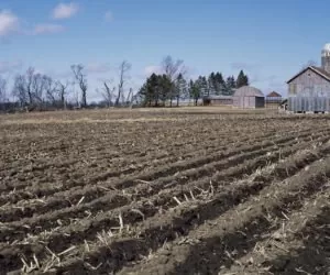 Łoże siewne: czym jest i&nbsp;jak je przygotować?