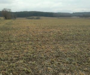 PIR: wzór wniosku o&nbsp;powołanie komisji klęskowej