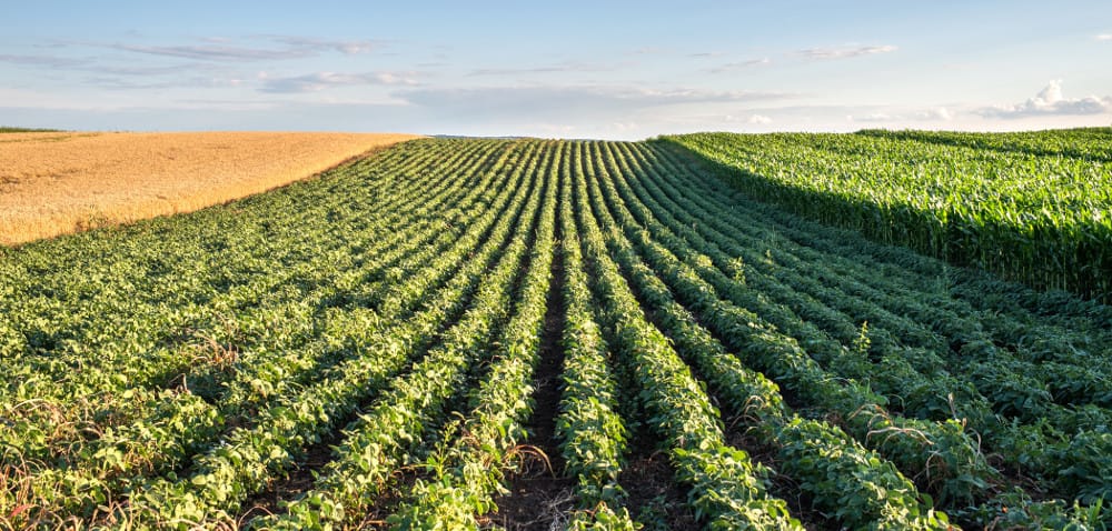 Rolnictwo precyzyjne: zaproszenie na konferencję!