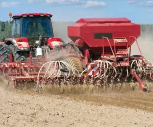Strip till: nowość w&nbsp;agrotechnice strączkowych