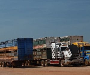 Wspólne działania Rady i&nbsp;Ministerstwa