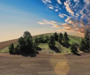 Czy będzie Rada Dialogu Społecznego w&nbsp;Rolnictwie?