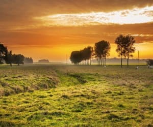 Biznes na wsi to nie eksperyment, to standard