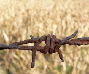 Działki rolne: ceny wciąż idą w&nbsp;górę!