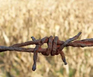 działki rolne
