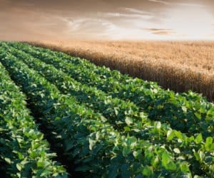 Zasada Wzajemnej Zgodności