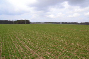 nawożenie