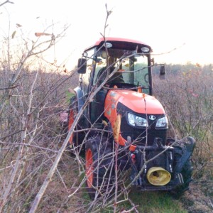 kubota