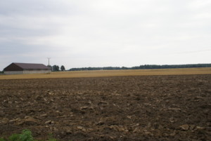 orka jesienią