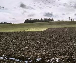 Kogo czeka wiosenna orka?