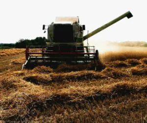 Bezprawnie zajmujący państwową ziemię nie dostaną dopłat