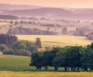 Rocznik Statystyczny Rolnictwa 2015
