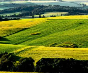 Żółte kartki zamiast pełnych kar. Czy to dobry pomysł?