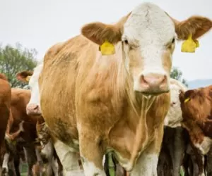 Modernizacja a&nbsp;punkty: obszary A–C