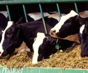 Złożono prawie 150 tys. wniosków