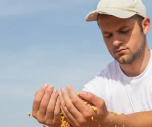 Czas na wnioski od młodych rolników!