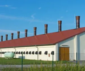 Ruszają wnioski na modernizację gospodarstw