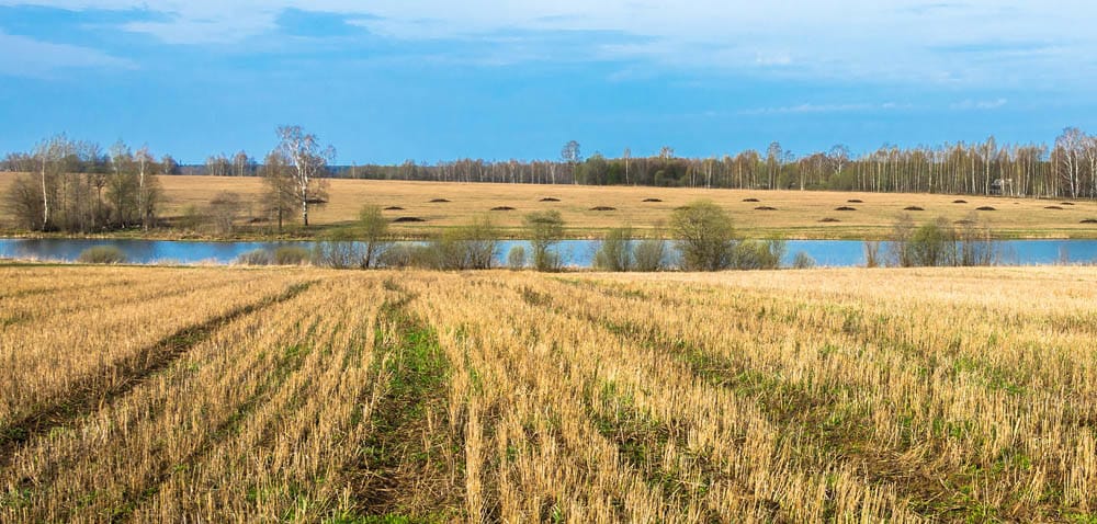 Ankieta dla rolników z&nbsp;Obszarów Szczególnie Narażonych