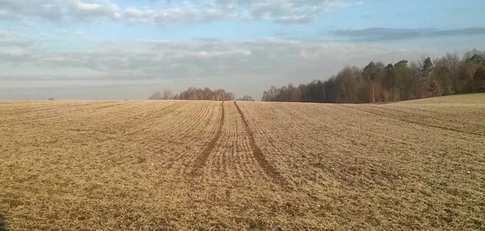 wnioski