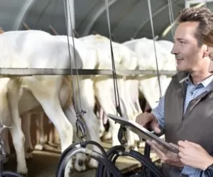 Wielkopolski Rolnik Roku – to już dziś