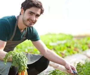 Premie dla młodych rolników: kiedy nabór?
