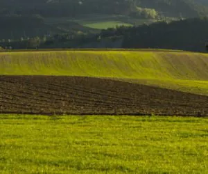 Przetargi na dzierżawy trwają, sprzedaży nie ma