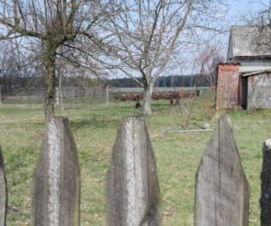 Ustawa przyjęta, wątpliwości pozostały