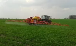 ochrona pszenżyta oprysk herbicydami