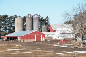 pomoc dla większych gospodarstw