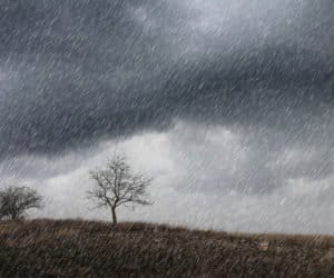 Pomoc za straty w&nbsp;uprawach w&nbsp;wyniku deszczu nawalnego lub powodzi