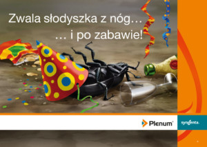 słodyszek
