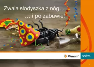 słodyszek