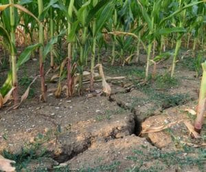 KBW a&nbsp;susza. Co oznaczają propozycje resortu?