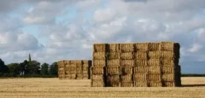Jaką kupić prasę