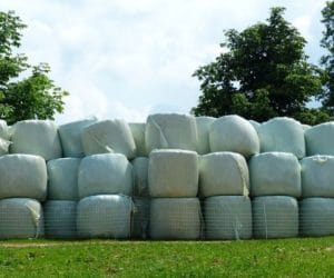 Dlaczego warto kisić w&nbsp;belach?