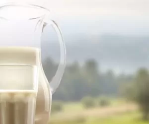 mleko a ue