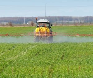 Czy glifosat będzie dostępny?