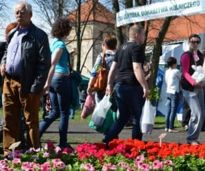 XI Piotrkowskie Targi Ogrodnicze zakończone z&nbsp;sukcesem!