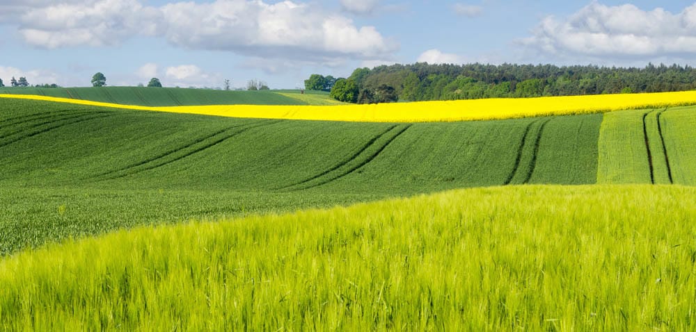 Ochrona roślin: pakiety z&nbsp;gadżetem w&nbsp;środku