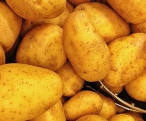 9 nowych odmian ziemniaka: co je charakteryzuje?