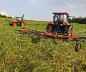 Suszenie trawy na paszę: o&nbsp;czym pamiętać?