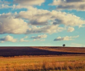 Scalanie gruntów z&nbsp;PROW: najważniejsze informacje