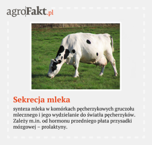 sekrecja mleka
