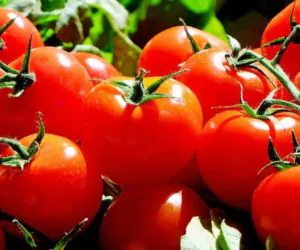 Dla bezpieczeństwa polskich producentów