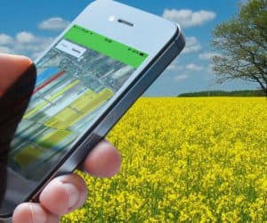 VitalFields wzmacnia zespół