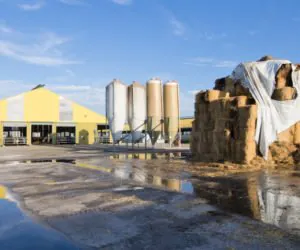 Czy powinno się rozwijać pomoc dla dużych gospodarstw?