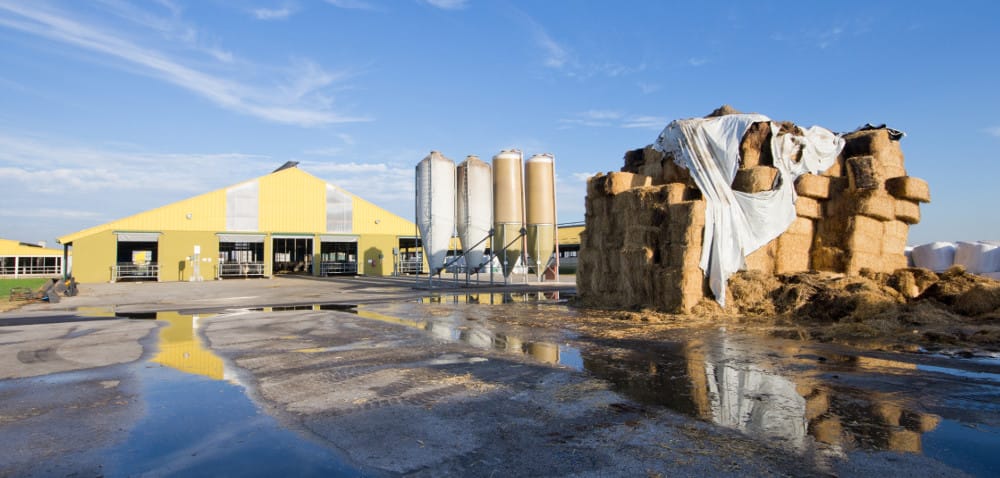 Czy powinno się rozwijać pomoc dla dużych gospodarstw?